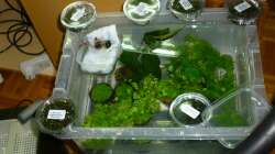 18.01.13 ~ Ein Teil der Bepflanzung...