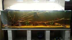 Stand vom 25.11.2012