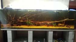 Stand vom 25.12.2012