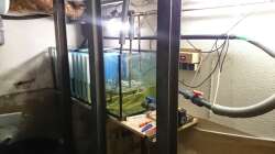 neues Filterbecken im Rohbau