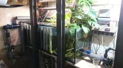 aktuelle Ansicht Filterbecken