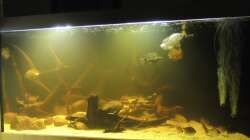 mal paar aktuelle pics