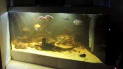 Aquarium eckaquarium