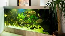 pflanzentest.... hoffe sie überleben