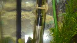 Heizstab und Blasen der Sauerstoffpumpe