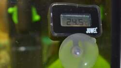 Juwel Thermometer (Bild ist vormittags aufgenommen worden)
