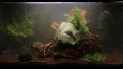 nur noch ein Stein :)