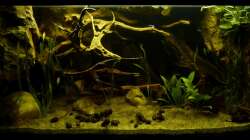 Gesamtansicht 24.02.13