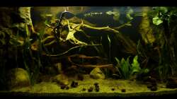 Gesamtansicht 20.02.13