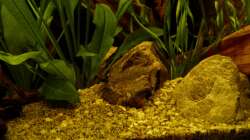 Detailansicht rechte Seite 01.07.13