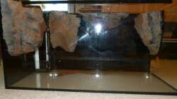 leeres Becken mit den geklebten Modulen