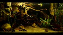 Gesamtansicht 11.03.13