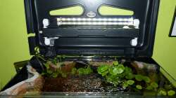 LED-Beleuchtung 27.08.13