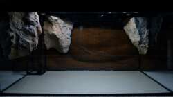 1x50cm LED-Leiste kaltweiß ´Abendbeleuchtung´