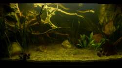 1 Tag nach Neueinrichtung 14.02.13