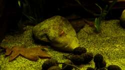 Detailansicht 11.03.13