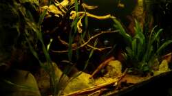 Gesamtansicht 01.07.13