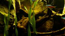 Detailansicht 11.03.13