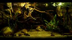 Gesamtansicht 19.03.13