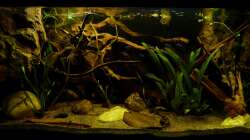 Gesamtansicht 29.04.13