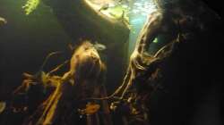 Von unten unter die Wasseroberfläche