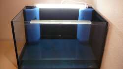 Erste Wässerung am neuen Standort