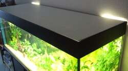 Technik im Aquarium Amazonas im Wohnzimmer