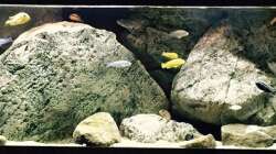 Aquarium pakati pa miyala