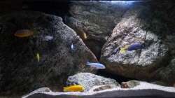 Aquarium pakati pa miyala