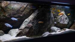 Aquarium pakati pa miyala