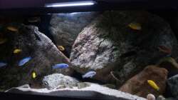 Aquarium pakati pa miyala