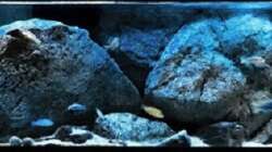 Aquarium pakati pa miyala