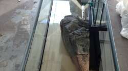 Kurz nach der Anlieferung des Beckens