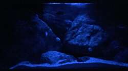 Aquarium pakati pa miyala