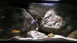 Aquarium pakati pa miyala