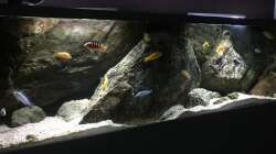 Aquarium pakati pa miyala