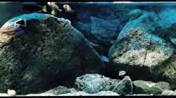 Aquarium pakati pa miyala