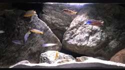 Aquarium pakati pa miyala