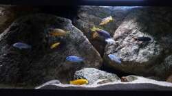 Aquarium pakati pa miyala