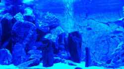 Aquarium Becken 25658