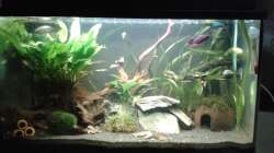 nach dem letzten Umgestalten