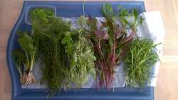 Es ist angerichtet...