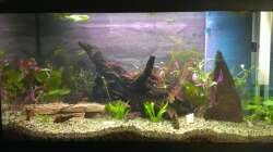 08.02.2013 kurz nach der Einrichtung