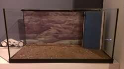 ...Bodendünger rein...