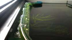 Verlegter Filterauslauf