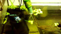 Technik im Aquarium Becken 257