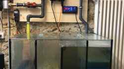 Filterbecken, UV-C Klärer, Pumpensteuerung, Temperaturregler