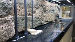 Das Aquarium mit den fertig verklebten Rückwänden. Die Holzklötze stützen die