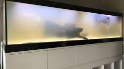 Endlich voll. Die Trübung kommt vom animpfen des Filters mit 2.5 dl Milch.