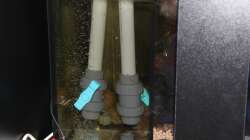 Einlauf ins Filterbecken